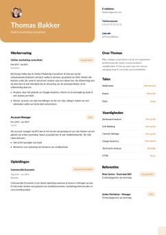 Choose template Columbia and create a professional CV