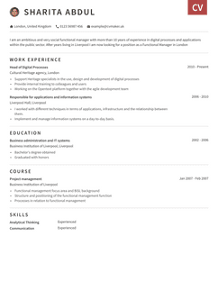 Choose template Otago and create a professional CV