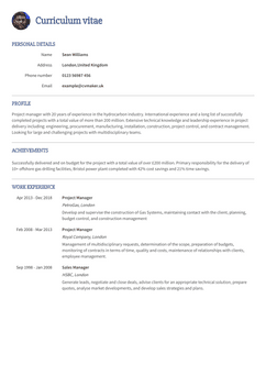 Choose template Princeton and create a professional CV