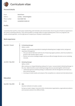 Choose template Oxford and create a professional CV