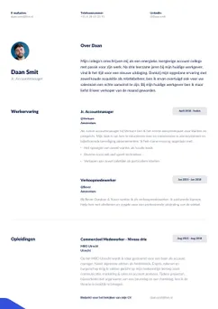 Choose template Duke and create a professional CV