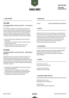 Choose template Peking and create a professional CV